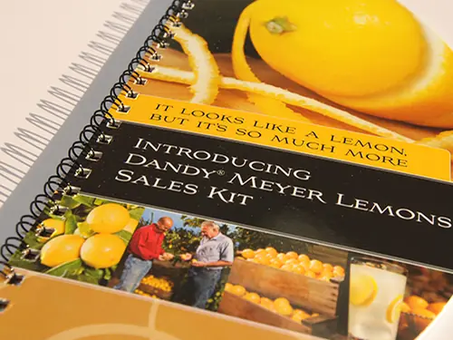 Spiral-bound sales kit introducing Dandy Meyer Lemons